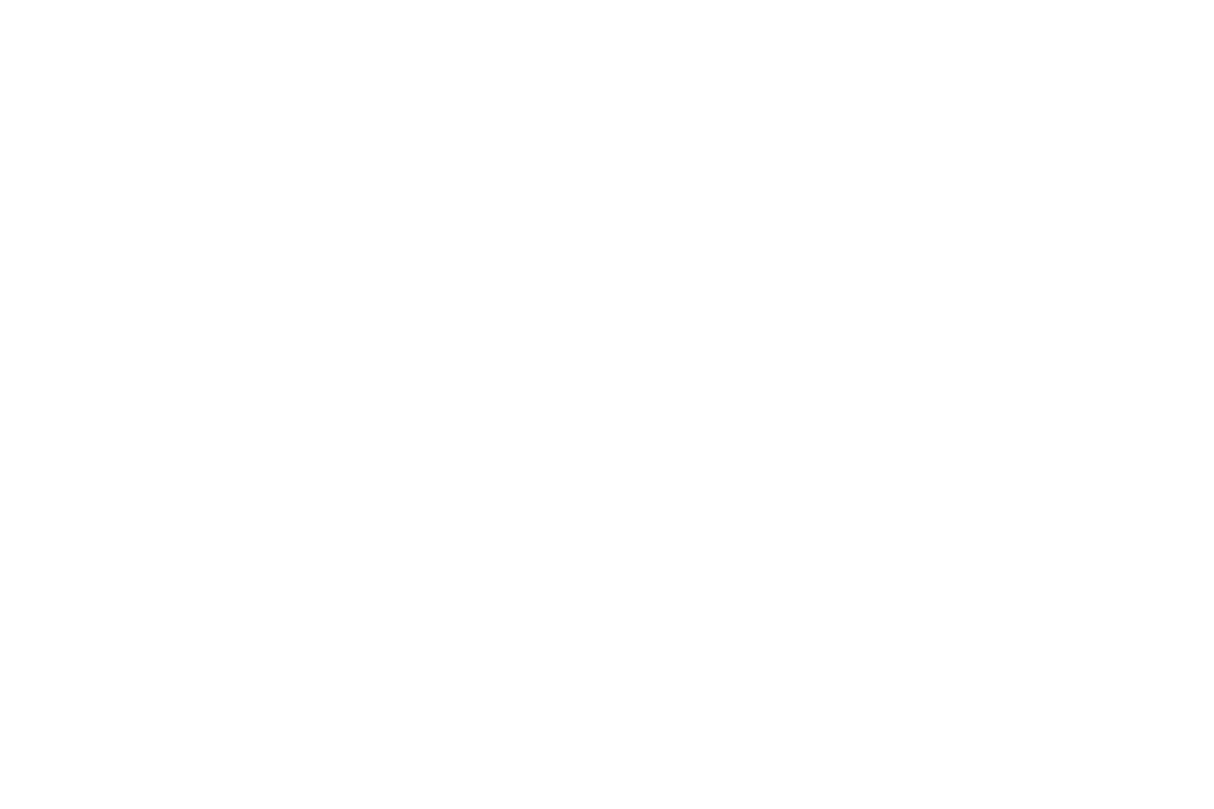 Main Street Commercial Partners